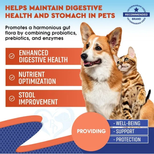 Prebiotic and Probiotic combo with Enzymes For Cats and Dogs