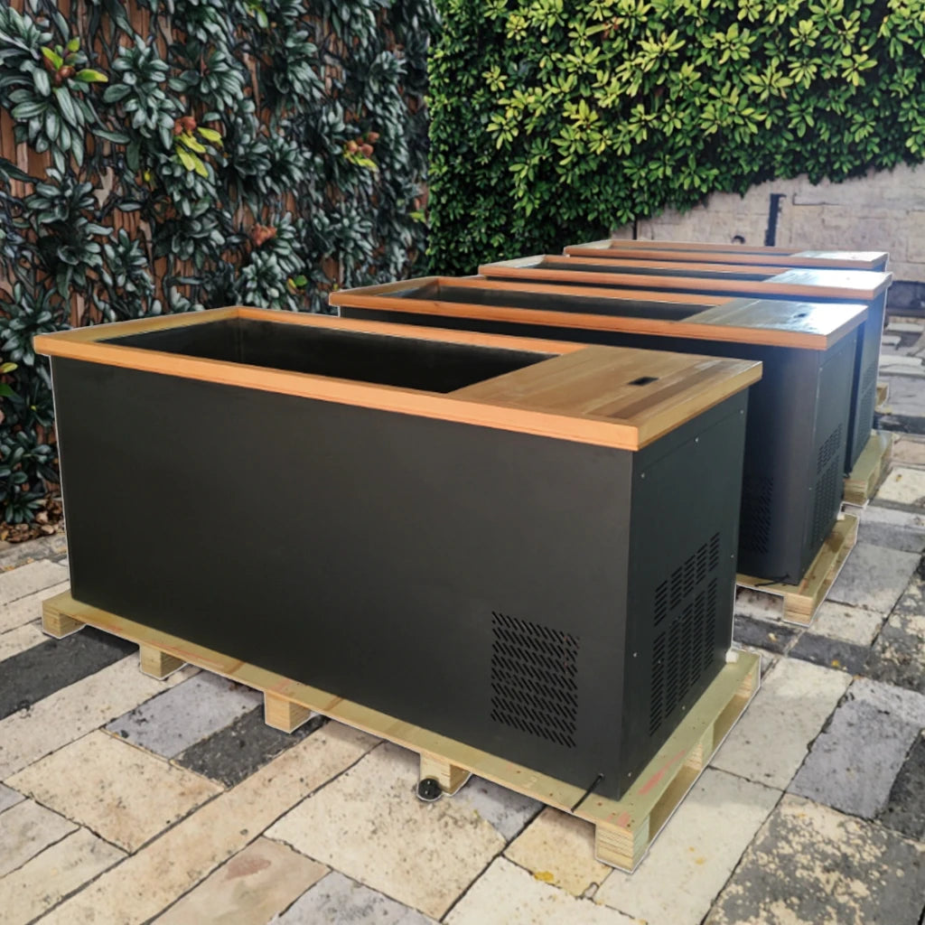 Modern Red Cedar Cold Plunge Spa Tub 304 Stainless Insert