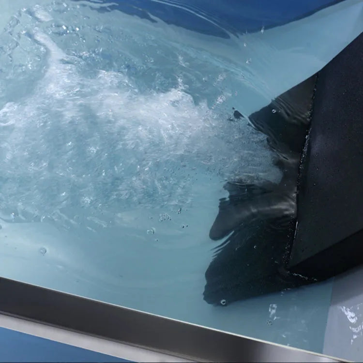 Freestanding Acrylic 2-Person Whirlpool Massage Bathtub with LED Jets