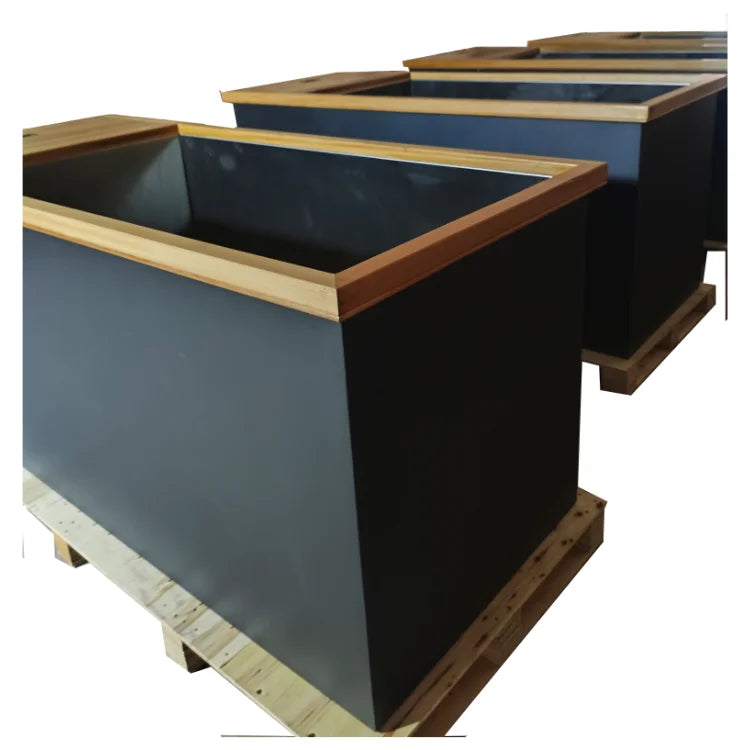 Modern Red Cedar Cold Plunge Spa Tub 304 Stainless Insert
