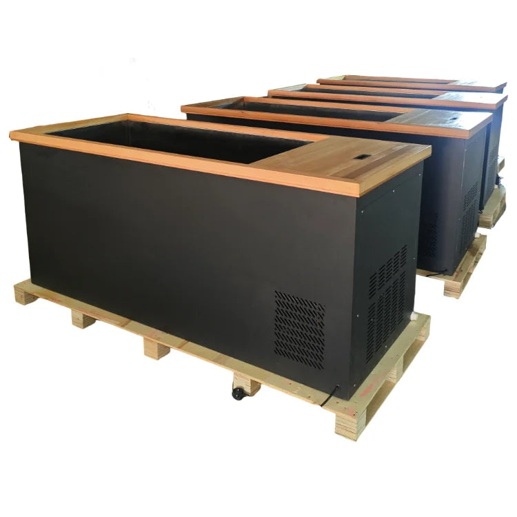 Modern Red Cedar Cold Plunge Spa Tub 304 Stainless Insert