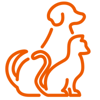 Pet-Friendly Materials