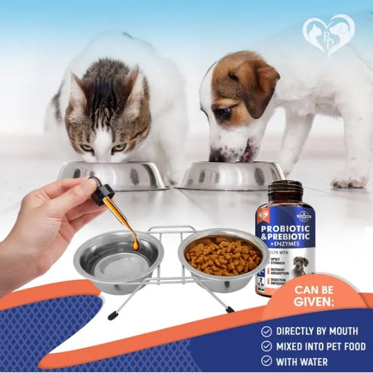 Prebiotic and Probiotic combo with Enzymes For Cats and Dogs