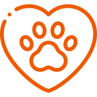 Designed for Comfort